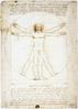 Da Vinci Experience, the videogame