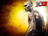 THQ anuncia la disponibilidad de artículos únicos de WWE 12